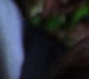 The Third Lorelai