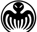 Organizations
