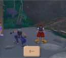 Carrera contra Riku