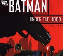 Batman: Under the Hood