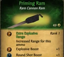 Priming Ram