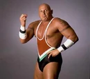 Vito LaGrasso