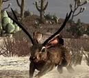 Mythical Creatures