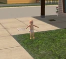 Sim Modder