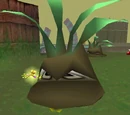 Killer Plants