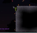 Worm Food