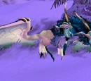Chillwind Chimaera