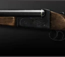 Shotguns