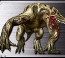 Kornephoros