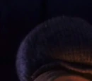 Mr. Centipede