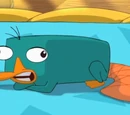 Perry the Platypus