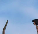 Songs from The Jungle Book