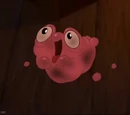 Morph