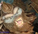 Yeti