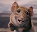 Manuel