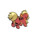 Growlithe