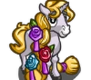 Foal