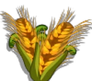 Hybrid Crop