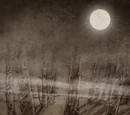 The Long Night