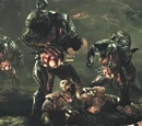 Locust Civil War