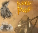 Halo: Indelible Past
