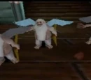 Dwarf