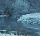 Forest of Dean