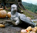 Hippogriff