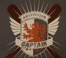 Hogwarts Quidditch Captain