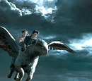Rescue of Sirius Black and Buckbeak