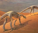 Massospondylus
