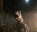 Psittacosaurus