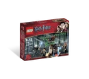 4865 The Forbidden Forest