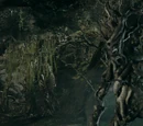 Ents