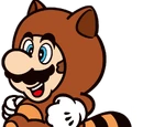 Tanooki Suit