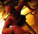 El Hombre Araña (Pelicula)