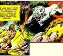 Wally Wood/Inker Images