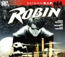 Robin Vol 4 176
