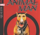 Animal Man Vol 1 59
