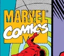 Daredevil Vol 1 295