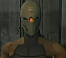 Gray Fox
