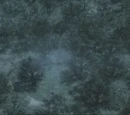 South America (Liquid Ocelot's Insurrection)