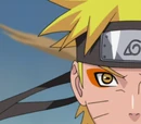 Sage Mode