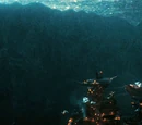 Shipwreck Cove