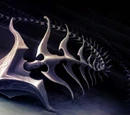 Daggertail