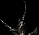 Ahriman