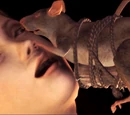 Rat