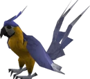 Macaw