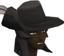Musketeer's hat