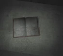 Prison Diary